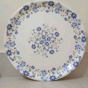 Melamine Ware 2 Dinner Plates