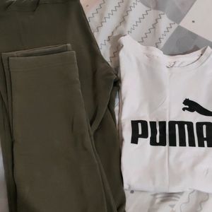 Puma