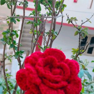 Crochet Red Rose Stick