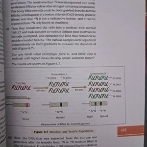 Class 12 Biology Text Book, Ncert
