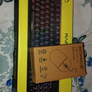 Keyboard Need Repair     And Mouse Fully Working