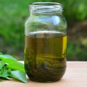 Home Made Curry Leaves Oil