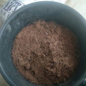 Cocopeat With Dustbin