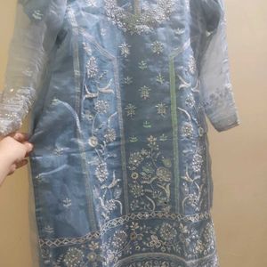 New Organza Pakistani Suit