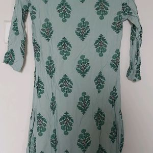 Green Printed Straight Kurta