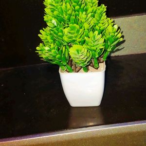 Artificial Plants with Pot for Living Room Home Decor & Decoration Item