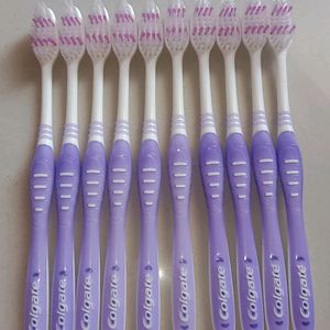 Toothbrush Pack Of 10