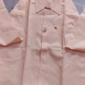 Mens Plain Shirt