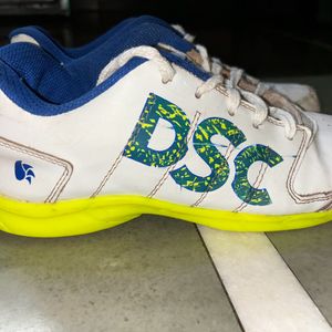 DSC Cricket Shoes Original