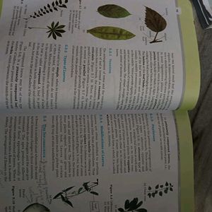 Ncert Biology- Class 11 And 12