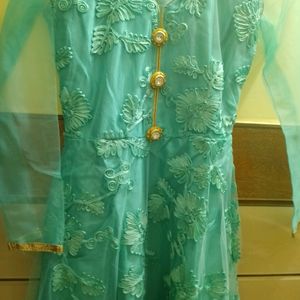 Sea Green Gown