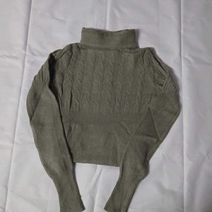 Turtle Neck Woolen Top