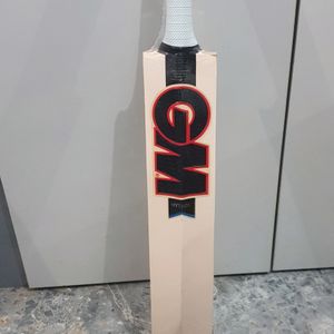 GM Mythos Prestige Short Handle English Willow Bat