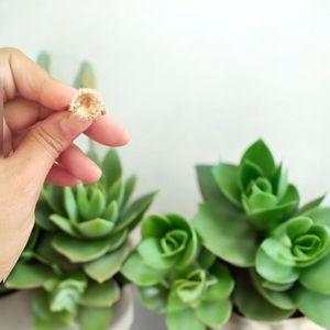 Rose Gold Plated Ring💍