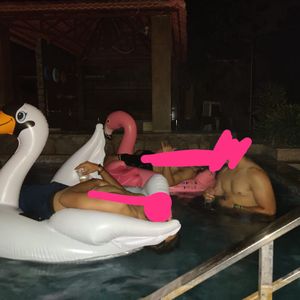 Generic flamingo Combo ( Inflatable Pool Float)