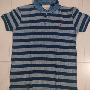 Stripped Polo Tshirt for Men