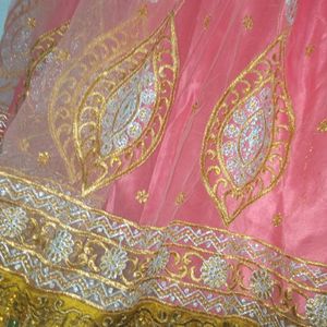 Beautiful Lehenga Choli