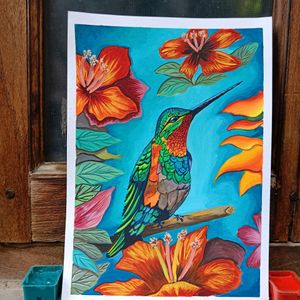 Hummingbird Painting On A4 Sheet