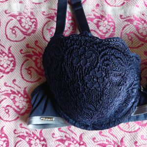 Variance Navy Blue Bra