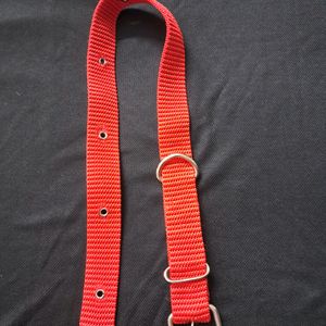 Medium To Large Size Dog Neck Belt