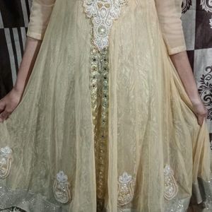 Bajirao Mastani Festive And Wedding Function Gown