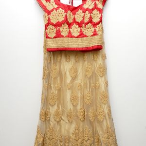 Wedding/partywear Lehenga Set