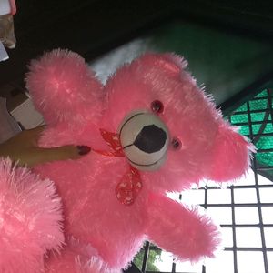 Pink Teddy New