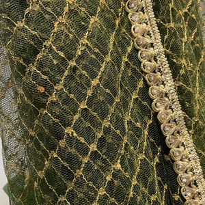 😍Elegant Green And Gold Net Saree With Lace Borde