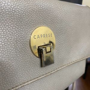 Caprese Khaki Colored Bag With Good Storage.