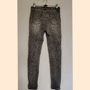 Imported Animal Print pant