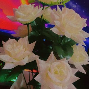 Artificial White Rose Decoration Flowers 🎍💮