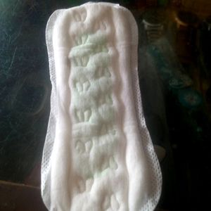 Period.Panty Liner