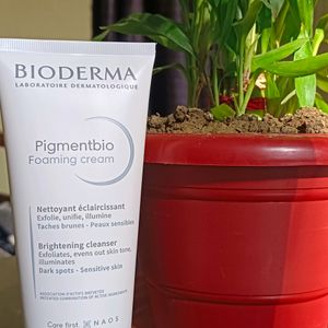 Pigmentbio Foaming Cream