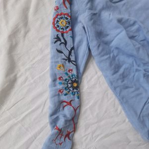 Blue top with Embroidery on Sleeves