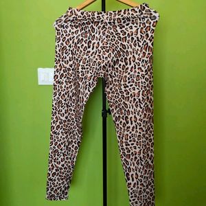 Tiger Printed Trendy Women Trouser/New With Tag