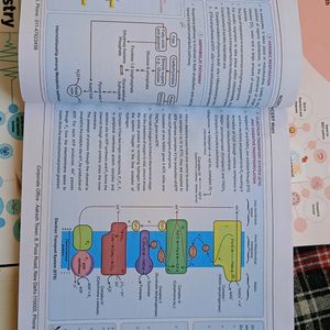 NCERT Mind Maps For Neet Aspirants From Aakash