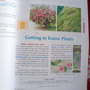 Science Book For Class 6