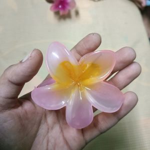 Set Of 5 Flower Hair Cluther