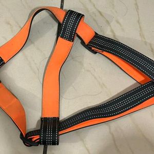 Last Price!!!No Pull Dog Training Leash