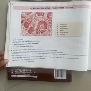 Anatomy Histology Practical Manual