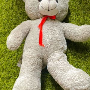 Taddy Bear Soft Toy