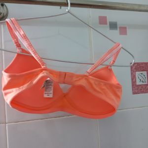 Completely New T- Shirt Bra