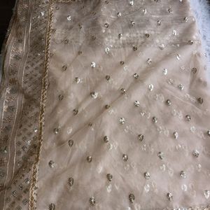 Nude Net Sequence Embroidered Saree (Women)