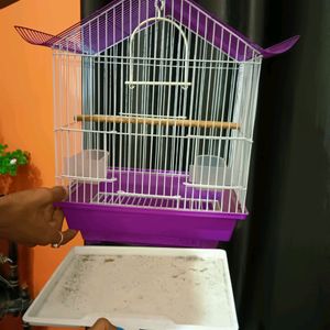 Bird Cage New