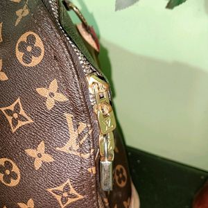 Louis Vuitton Handbag