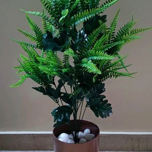 Artificial Plant With Pot