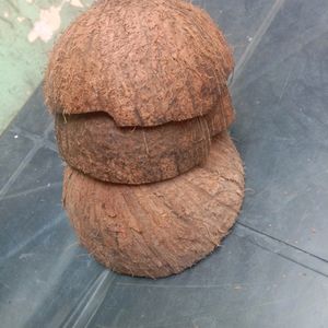 10 Coconut Shell