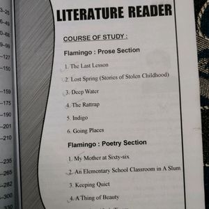 Bravia Literature Companion Class 12