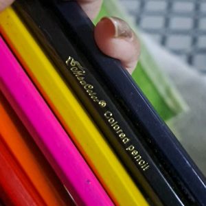 Newlyy Branded Japan Color Pencils