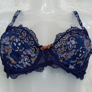 34b Bra Look